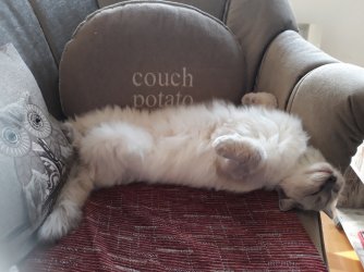 20191031_132902.jpg