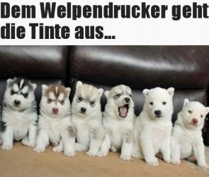 tUnbenannt.JPG