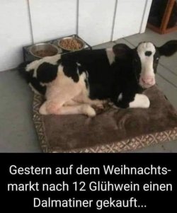 2Unbenannt.JPG