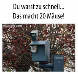 5ECB4694-9CEF-4D4C-A5A4-DC477A91F0F9.jpeg