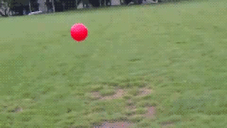 3A956F83-A0E9-48BB-90A8-7933BDCBBAF6.gif