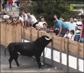 2C99B57C-C91A-41B4-91F1-889F035D9E0D.gif