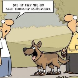 7Unbenannt.JPG