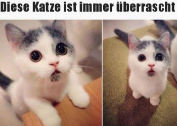 tUnbenannt.JPG
