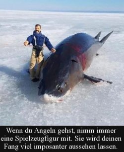 1Unbenannt.JPG