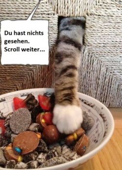 tUnbenannt.JPG