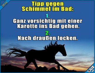 9E35CB1B-E964-41C6-A401-9E950594AF90.jpeg