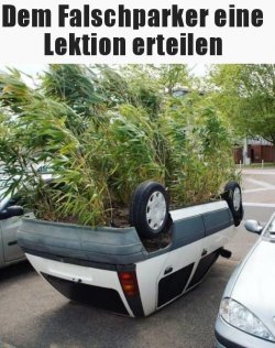 1Unbenannt.JPG