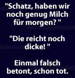 4Unbenannt.JPG