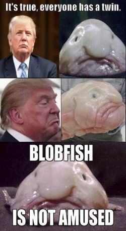 52884758-E582-4CD7-B01D-E55C5E4A53FA.jpeg