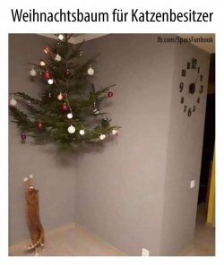 84172E2E-0625-404E-A8B8-7B80F0D30A69.jpeg