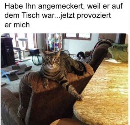 T.jpg