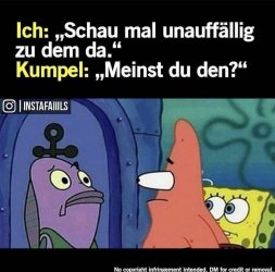 71BF413B-7393-4E50-B19E-CF065D784B9E.jpeg