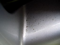 Kopie von Vorher.jpg