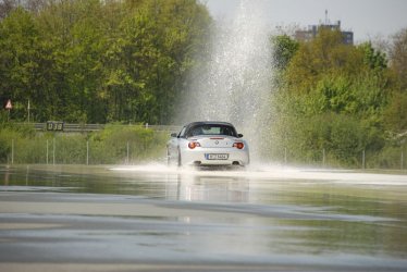 2008.05.04_12.54.44.jpg