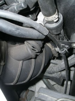 Tube Elbow futsch.jpg Tube Elbow futsch.jpg