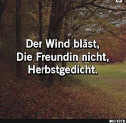 0E83CC54-CE94-4E4E-8E86-AD1A09BC1105.jpeg