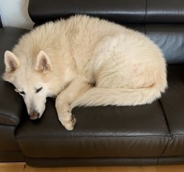 570D2192-5B62-4610-B458-E2E07F614730.jpeg