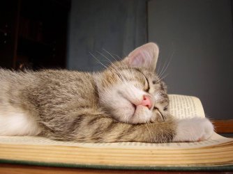 Gute Nacht...jpg