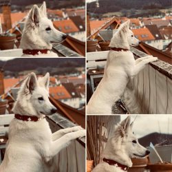 Mia aus Beuren.jpg