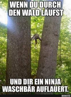 FE1BDFAD-FDD7-44A8-9E10-67FBA1D6D9F8.jpeg