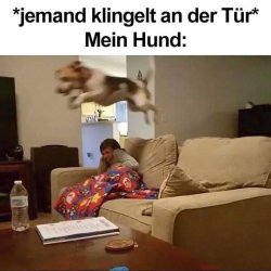 W..jpg