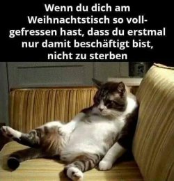 2F048506-3DA6-43A5-BB01-FCF50234DDB6.jpeg
