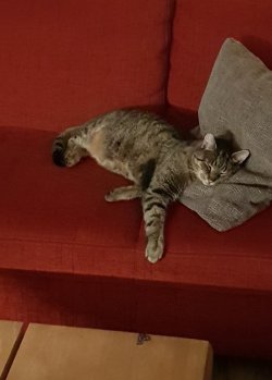20191229_005457-782x1090.jpg