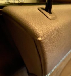 IMG_1725.jpg
