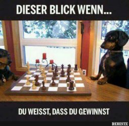 E7BDCAEA-C804-433D-8333-15E2C66F97BE.jpeg