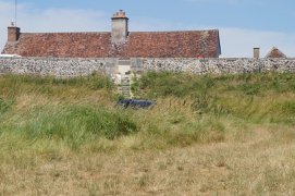 DSC06318.jpg
