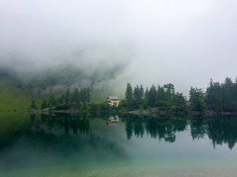 IMG_8782.jpg