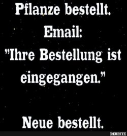 4AB3976F-6C12-4173-B58B-47781FC89954.jpeg