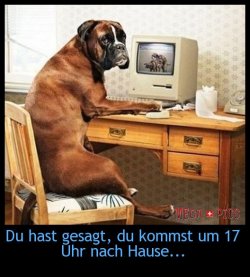 6B9193B7-737A-4B23-99AF-5411B39CE2BA.jpeg