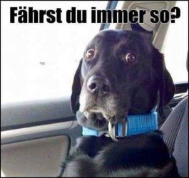 422F6B43-C329-4FCF-A547-46DA0C706D30.jpeg