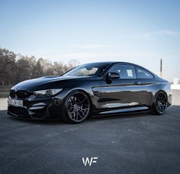 WF_2.jpg