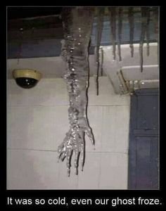 38382461-033B-46BE-8316-8E967DD044EA.jpeg