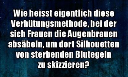 3Unbenannt.JPG