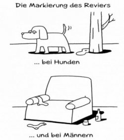 4Unbenannt.JPG