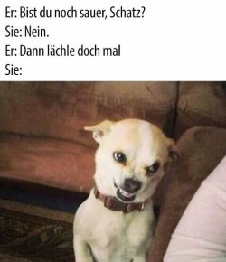 E1D9B5DD-05E6-439E-900D-85509E6D8927.jpeg