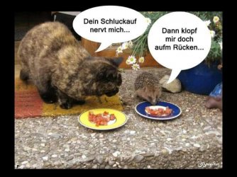 93CF4524-9961-4F68-898B-C0B0ADD8216E.jpeg