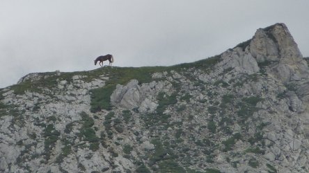 08.JPG