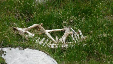 28.JPG