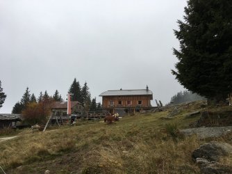 IMG_4372_klein.jpg