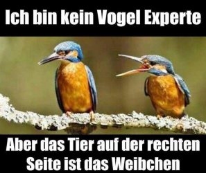 90B8A01C-AE80-4B81-BA99-9B7D8DCF87A3.jpeg