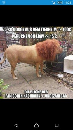 1A78F6D8-599E-4470-8A45-CB408A02A730.jpeg
