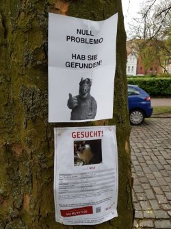 F242BC9C-1417-400B-9A4C-BB308A0A497B.jpeg