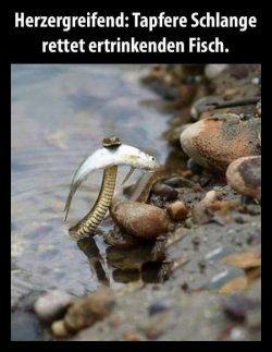 7ED7A8F6-70BD-4DD7-A523-735B3F282E60.jpeg