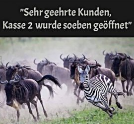 2Unbenannt.JPG