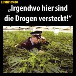 B75DC59F-B5D3-4E9A-A1D4-6D7CD958E632.jpeg